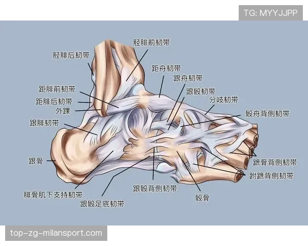 韧带替代物：人工与自体之争，人工韧带与自体韧带