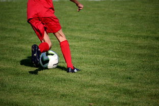 米兰体育在线登录-篮球运动员心理韧性培养与干预体系，篮球运动员的心理选材