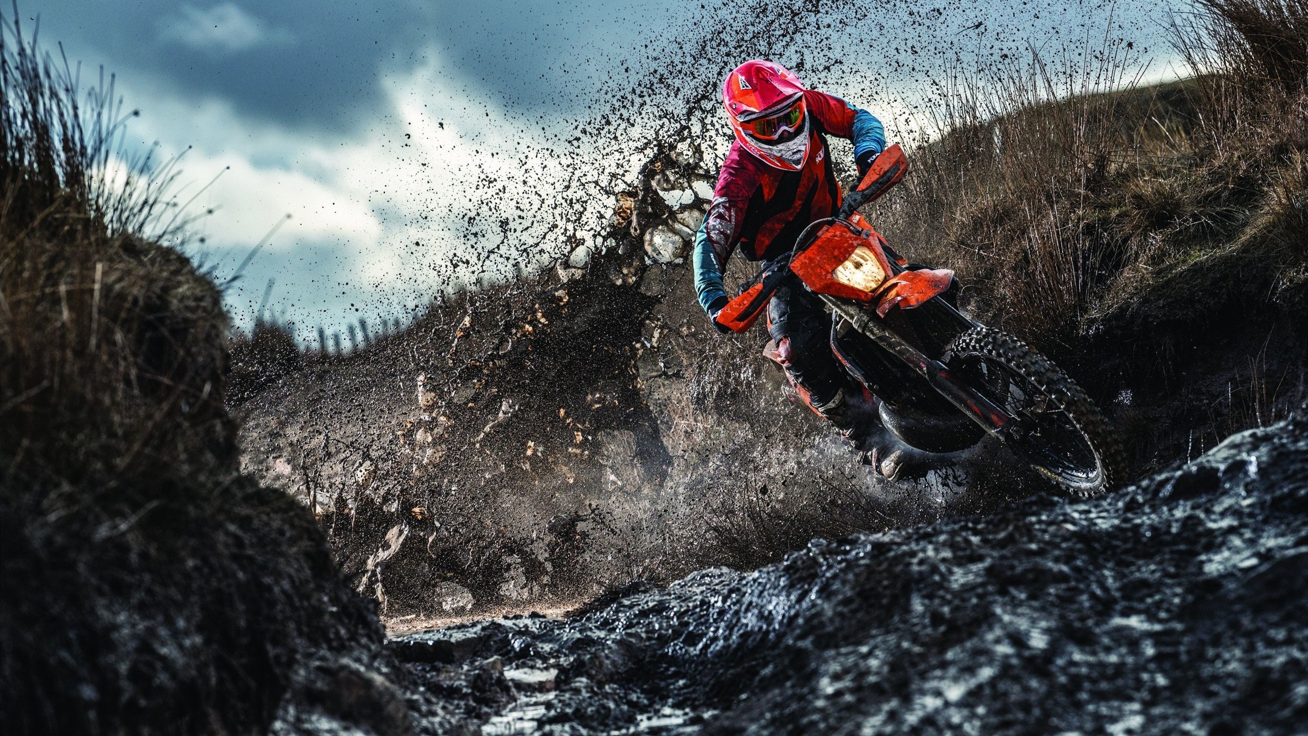 冠军球队球员家庭携手公益用爱拉近社区的心灵距离